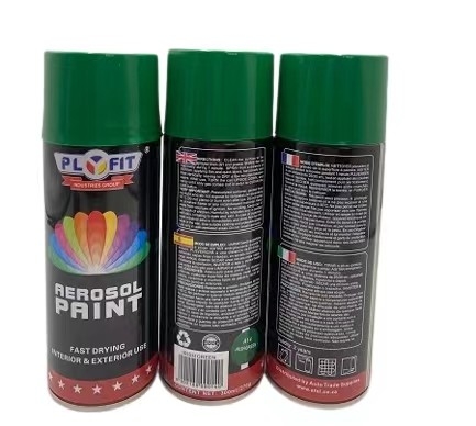pittura di spruzzo inossidabile amichevole asciugantesi veloce dell'aerosol 400ml E-co