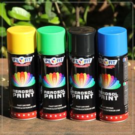 Pittura di spruzzo acrilica dell'aerosol di Matt Thermoplastic GPL 450ML