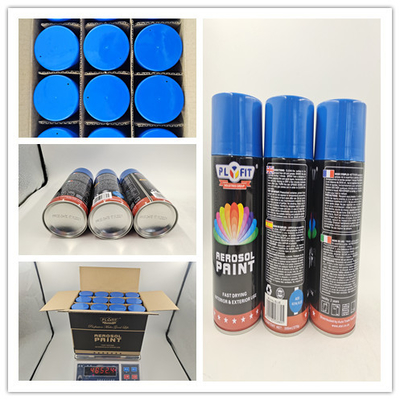 Superficie asciutta ricoprente liquida di Matt Automotive Aerosol Paint For